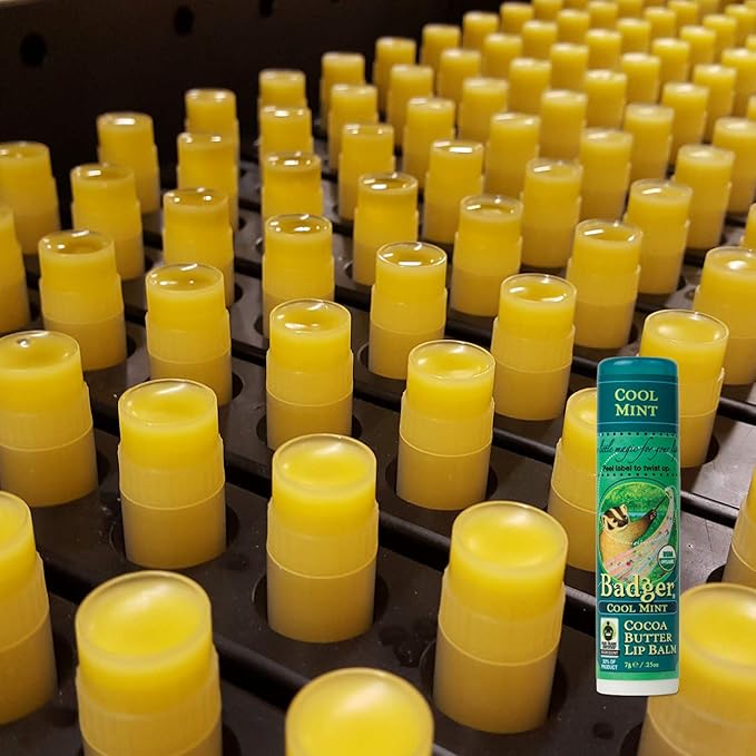 Badger - Cocoa Butter Lip Balm, Cool Mint, Certified Organic Lip Balm, Fair Trade, Natural Lip Balm, Lip Butter, Lip Balm Cocoa Butter, Cocoa Care Lip Balm, 0.25 oz-VivaGrace Women
