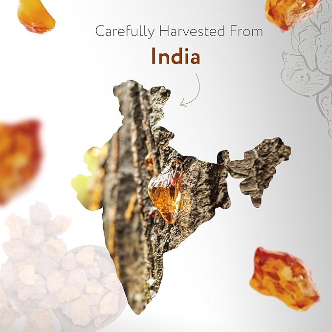 HBNO California Bottled Organic Frankincense Essential Oil 4 fl oz (120ml) - USDA Certified Oil - Organic Frankincense Essential Oil for Skin and Aromtherapy-VivaGrace Women