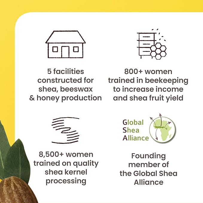 Burt's Bees Lip Balm Mothers Day Gifts for Mom - Shea and Aloe Lip Moisturizer With Responsibly Sourced Beeswax, Tint-Free, Natural Origin Conditioning Lip Treatment, 4 Tubes, 0.15 oz.-VivaGrace Women