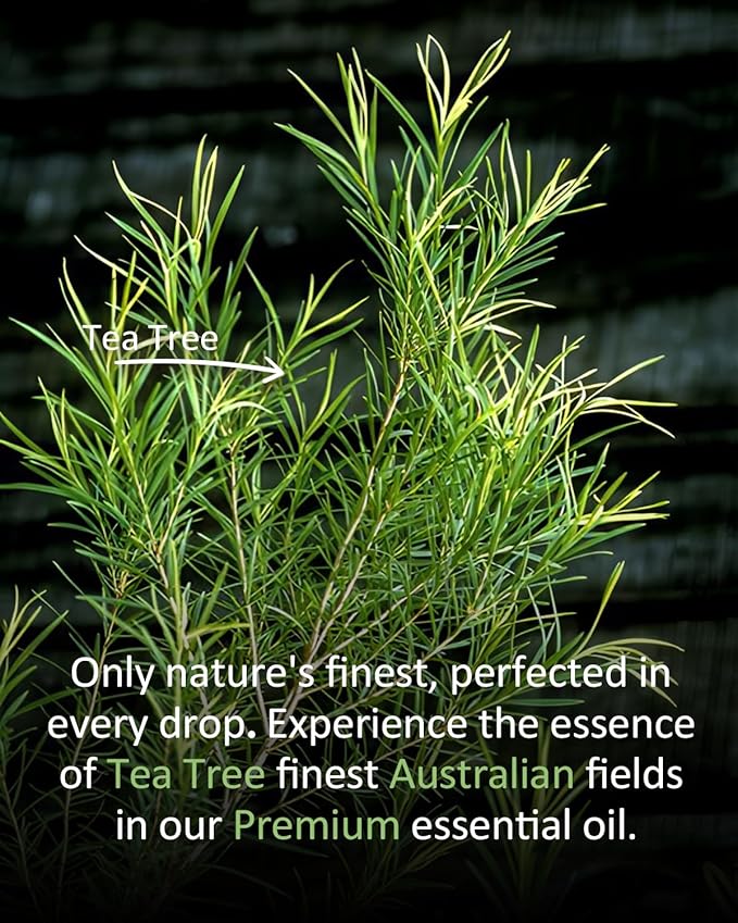 Pure Tea TreeEssential Oil, 100% Pure Natural Tea TreeEssential Oil, Premium Grade Essential Oils for Diffusers for Home, Skin, Care Massage, Soap Making, Aromatherapy, 4 Fl Oz | 120ml-VivaGrace Women