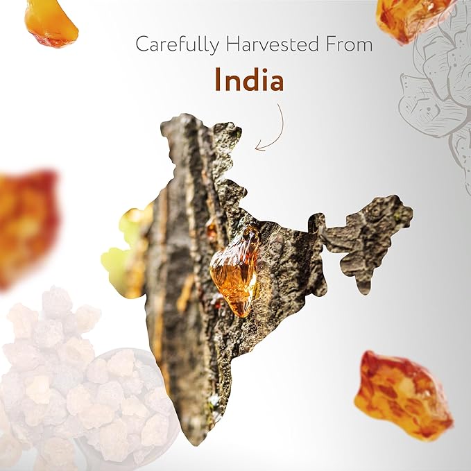 HBNO California Bottled Frankincense Essential Oil (Serrata) 4 fl oz (120ml) - Natural & Premium Grade Frankincense Oil Essential Oil,-VivaGrace Women