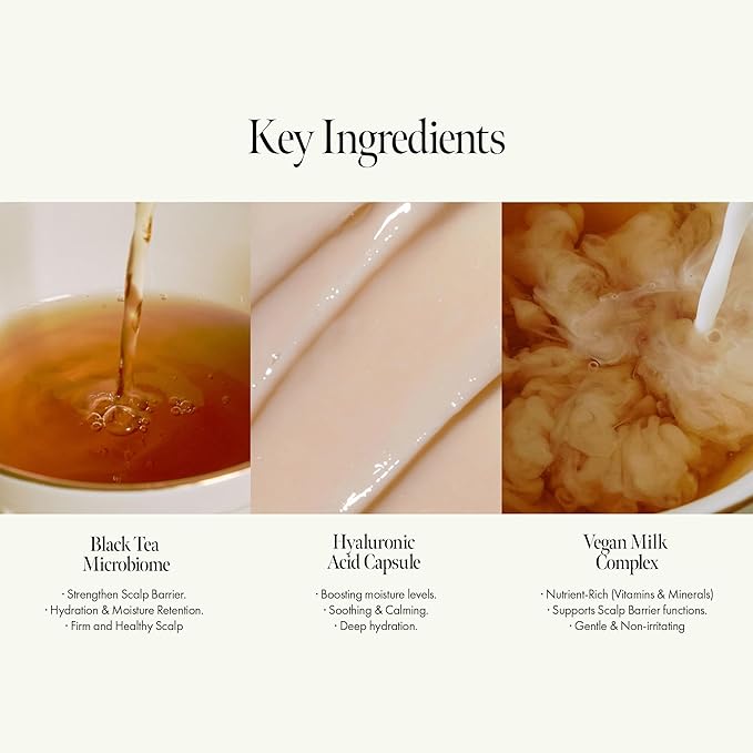 Vegan Nourishing Scalp Shampoo with Black Tea, Hyaluronic & Amino Acids to Strengthen Scalp Barrier, Creamy Woody Scent, Paraben, Sulfate & Silicone Free 450ml / 15.22 fl. Oz-VivaGrace Women