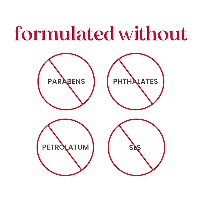 Burt's Bees Lip Balm - Berry Agua Fresca, Dragonfruit Lemon, Coconut & Pear, Tropical Pineapple Pack, With Beeswax, Tint-Free, Natural Origin Lip Treatment, 4 Tubes, 0.15 oz.-VivaGrace Women