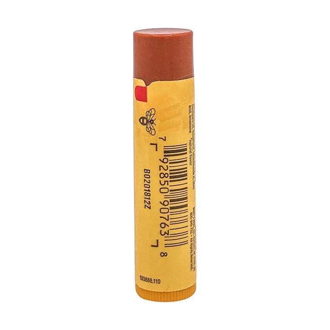 Burts Bees Salted Carmel Lip Balm, 1 EA-VivaGrace Women