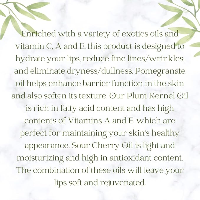 Philorganic Sustainable Lip Care Kit- 4 Pc Organic Gift Set Includes Lip Scrub, Mask, & 2 Balms - Self-Care Spa Moment or Gift - Small Batch USA Made-VivaGrace Women