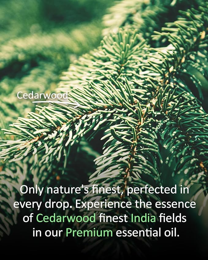 Pure Cedar Essential Oil, 100% Pure Natural Cedar Essential Oil, Premium Grade Essential Oils for Diffusers for Home, Skin, Care Massage, Soap Making, Aromatherapy, 4 Fl Oz | 120ml-VivaGrace Women