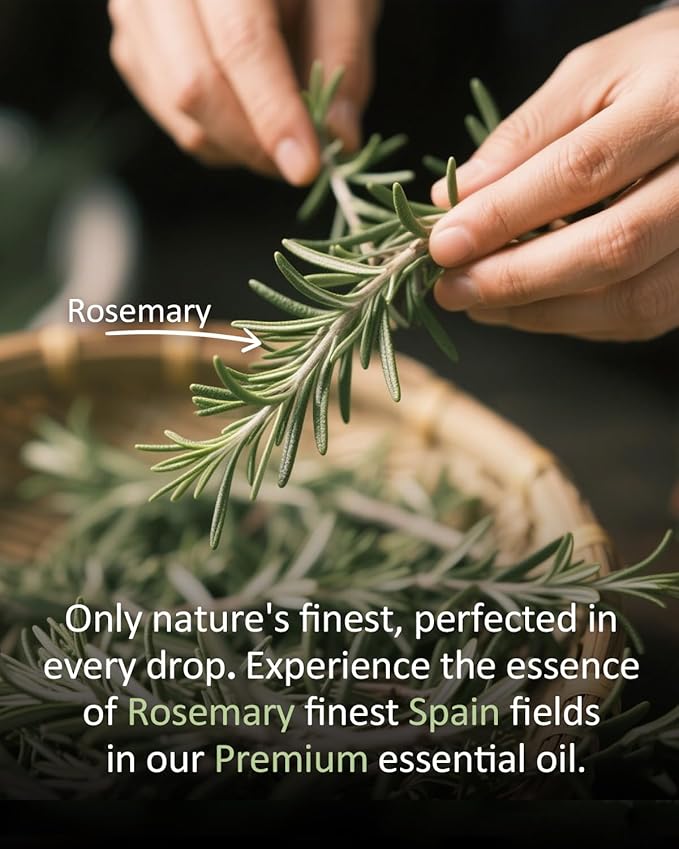 Pure Rosemary Essential Oil Hair Natural Aromatherapy Skin & Body Care Candle Making Home Fragrance Diffuser Oil 4 Fl Oz-VivaGrace Women