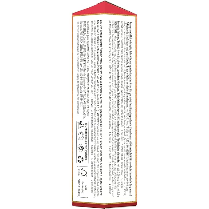 Burt's Bees Mistletoe Kiss Lip Care Stocking Stuffers Holiday Gift Set, Mistletoe Kiss Set, Pomegranate, Peony & Hibiscus-VivaGrace Women