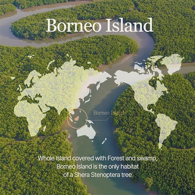 mixsoon Vegan Melting Lip Balm (Dry rose) 0.14 oz / 4.1g-VivaGrace Women