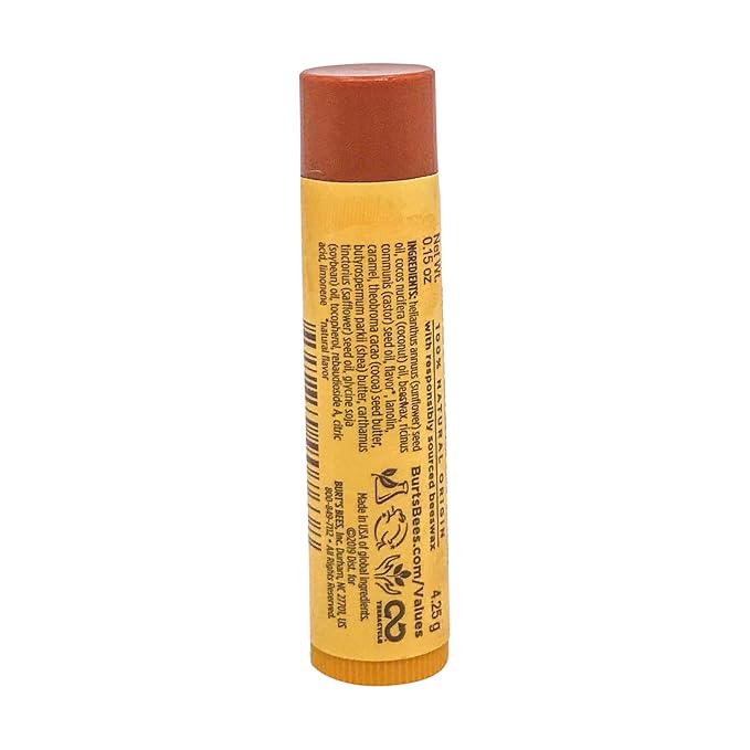 Burts Bees Salted Carmel Lip Balm, 1 EA-VivaGrace Women