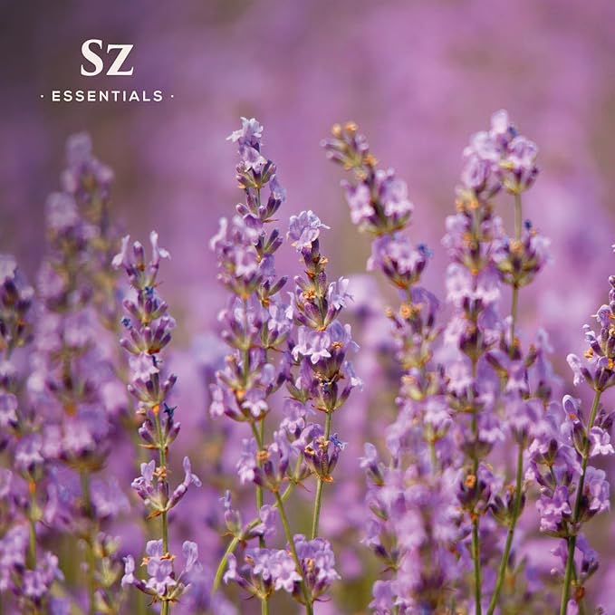 Kashmir Lavender Essential Oil – 100% Pure & Undiluted – Sweet Floral Scent for Relaxation, Aromatherapy, Self-Care, Natural Perfumery – Vegan & Therapeutic – 0.22 fl oz (6.5 mL)-VivaGrace Women