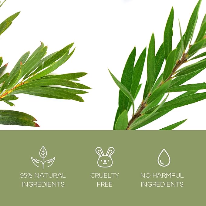 Charcoal & Tea Tree Peel-Off Face Mask - Blackhead Remover, Acne Treatment, Unclogs Pores, Deep Cleansing - Dermatologist Tested Korean Skincare, Clean Beauty, Cruelty-Free - 6.7 Fl oz-VivaGrace Women