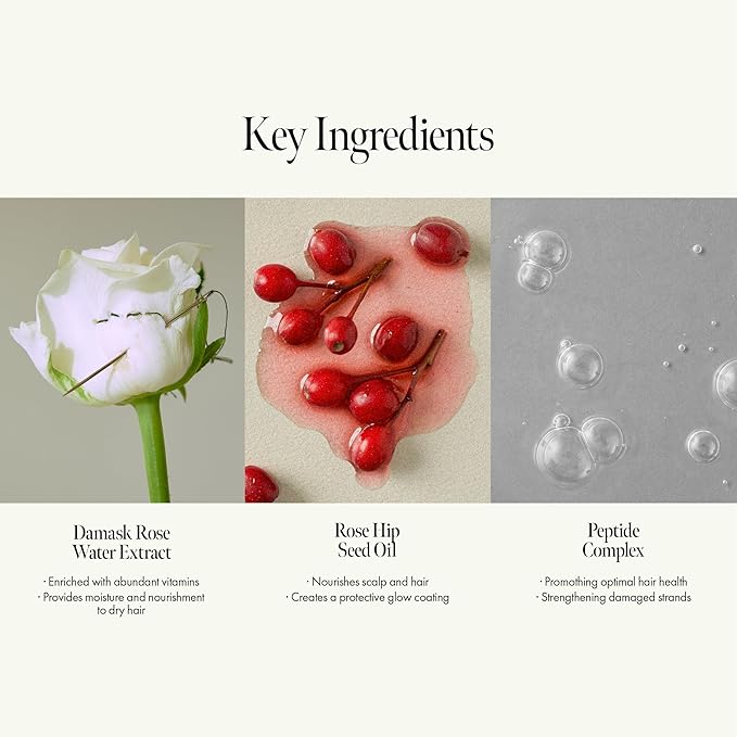 Rosy Night Repair Shampoo – Anti-Dandruff & Damage Repair with Damask Rose Water & Ceramide – Color Safe, Silicone & Sulfate Free (15.22 fl. Oz)-VivaGrace Women