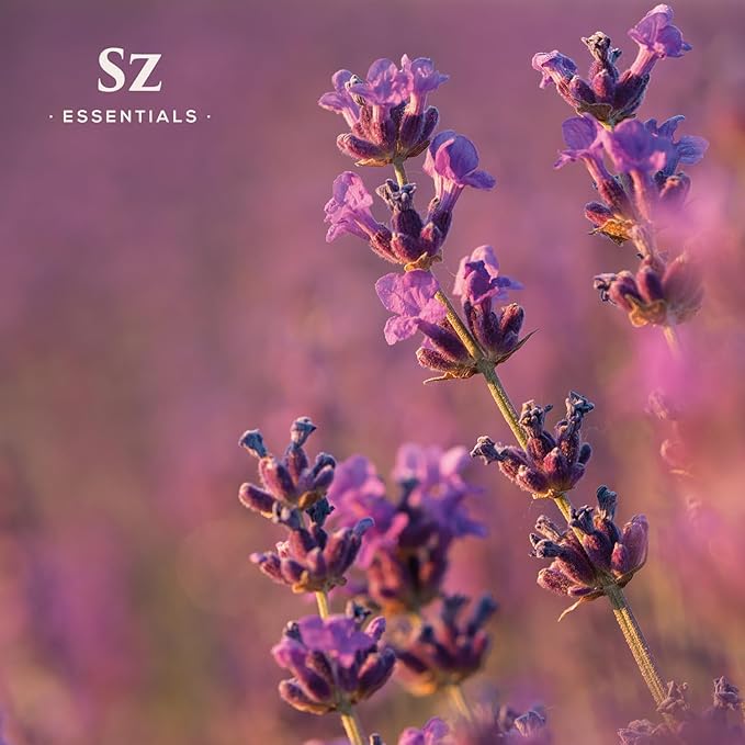 Grasse Lavender Essential Oil - France - Beautiful Floral Lavender Scent with Pine Notes - Lavandula stoechas - 100% Pure & Undiluted - Aromatherapy- Therapeutic Grade & Vegan 0.22 oz-VivaGrace Women