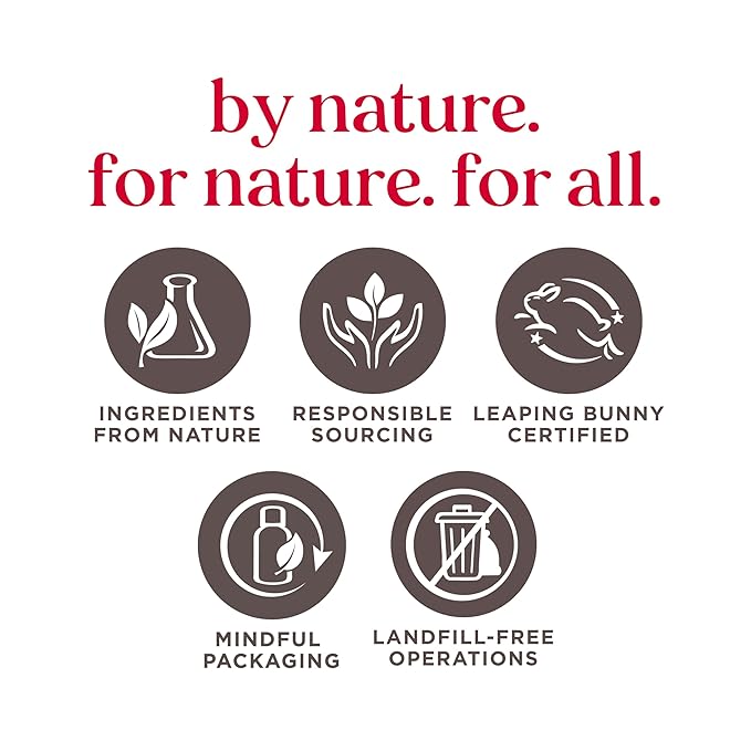 Burt's Bees Gifts Ideas - In Full Bloom Lip Balm Set, Original Beeswax, Dragonfruit Lemon, Tropical Pineapple & Strawberry, Natural Origin Lip Treatment, 4 Tubes, 0.15 oz.-VivaGrace Women