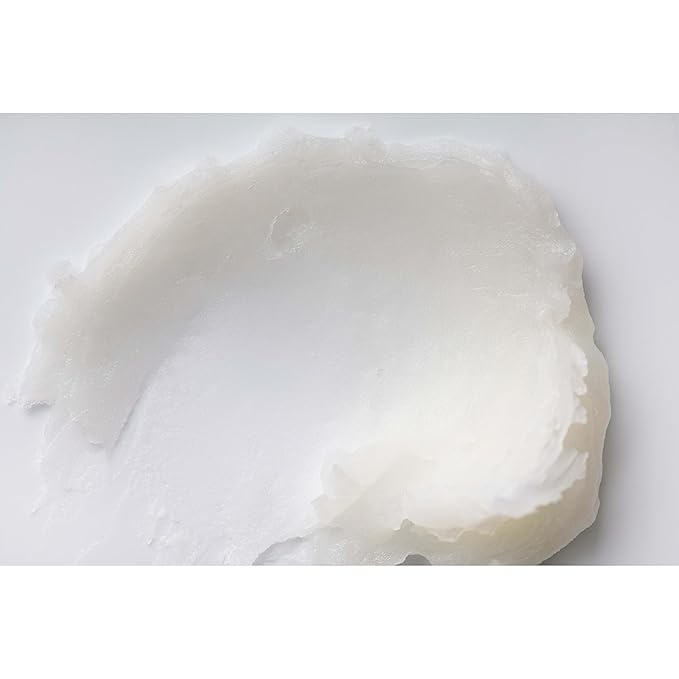 Burt's Bees Lip Balm - Beeswax, Cucumber Mint, Coconut & Pear, and Vanilla Bean Pack, With Responsibly Sourced Beeswax, Tint-Free, Natural Origin Lip Treatment, 4 Tubes, 0.15 oz.-VivaGrace Women