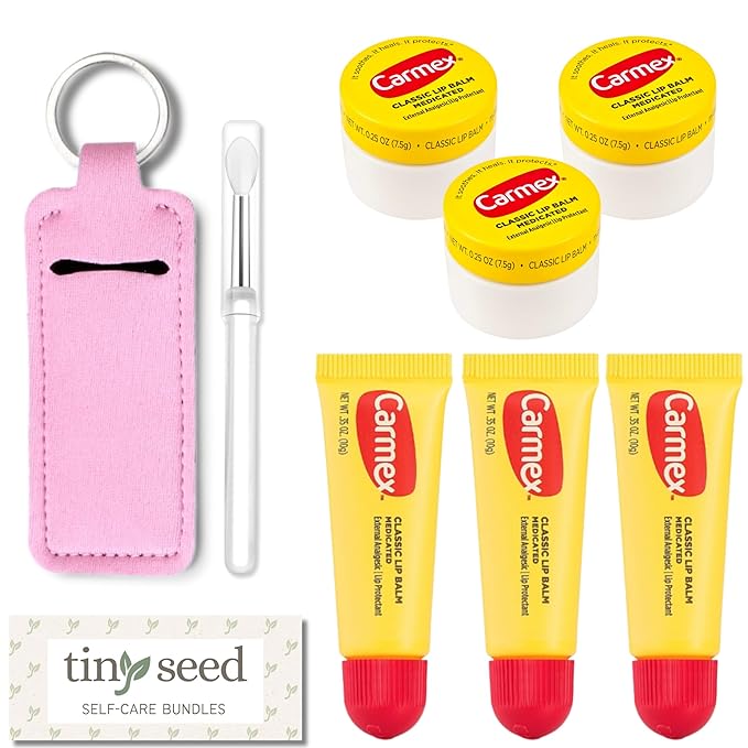 Set of 6 Medicated Lip Balms by Carmex: 3 Jars and 3 Tubes. Carmex Lip Balm Moisturizer, Trusted Relief for Dry, Chapped Lips. Bundled with Silicone Lip Brush and Lip Balm Holder Keychain (Pink)-VivaGrace Women