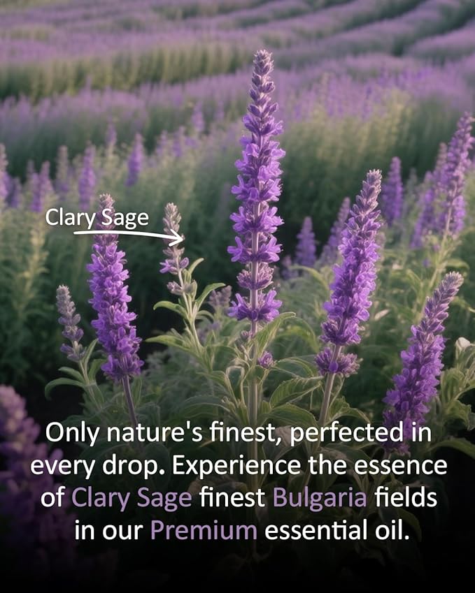 Pure Clary Sage Essential Oil, 100% Pure Natural Clary Sage Essential Oil, Premium Grade Essential Oils for Diffusers for Home, Skin, Care Massage, Soap Making, Aromatherapy, 4 Fl Oz | 120ml-VivaGrace Women