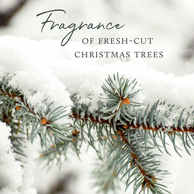 Thymes Hand Wash - 8.25 Fl Oz - Frasier Fir