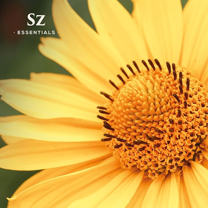 Arnica Essential Oil (Arnica Montana) – Therapeutic Grade, 100% Pure & Undiluted with Fresh Herbal Aroma for Soothing Relief, Aromatherapy, Muscle Recovery & Skin Care - Vegan 0.17 oz-VivaGrace Women