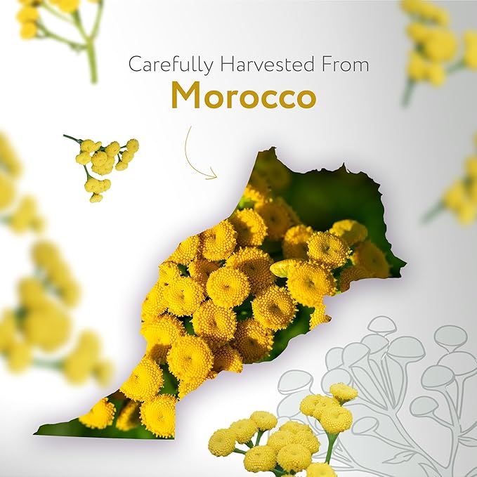 HBNO USDA Certified Organic Blue Tansy Essential Oil - 1/3 OZ (10 ml) Travel Size - Perfect for Aromatherapy, DIY, Candle Making, Soap Making, Diffusers - Blue Tansy Essential Oils-VivaGrace Women