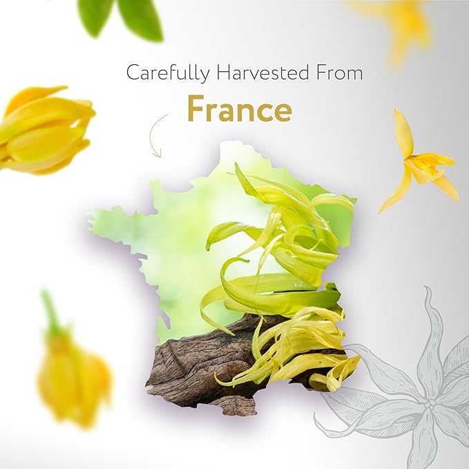 HBNO Ylang Ylang Essential Oil - 1 OZ (30 ml) Travel Size - Perfect for Aromatherapy, DIY, Candle Making, Soap Making, Diffusers-VivaGrace Women