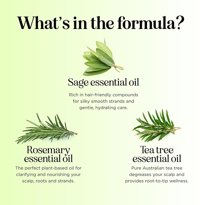 Sulfate Free Shampoo and Conditioner Set - Tea Tree Sage and Rosemary Shampoo and Conditioner for Dry Flaky Scalp Care - Deep Cleansing Color Safe Shampoo and Conditioner for Damaged Dry Hair Care-VivaGrace Women