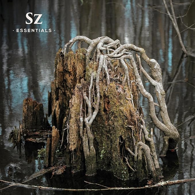 Cypress Essential Oil (Cupressus sempervirens) - 100% Pure & Undiluted - Fresh Crisp & Woody Aroma with Overtones of Earth and Evergreen - Therapeutic Grade and Vegan - 0.17 oz (5ml)-VivaGrace Women