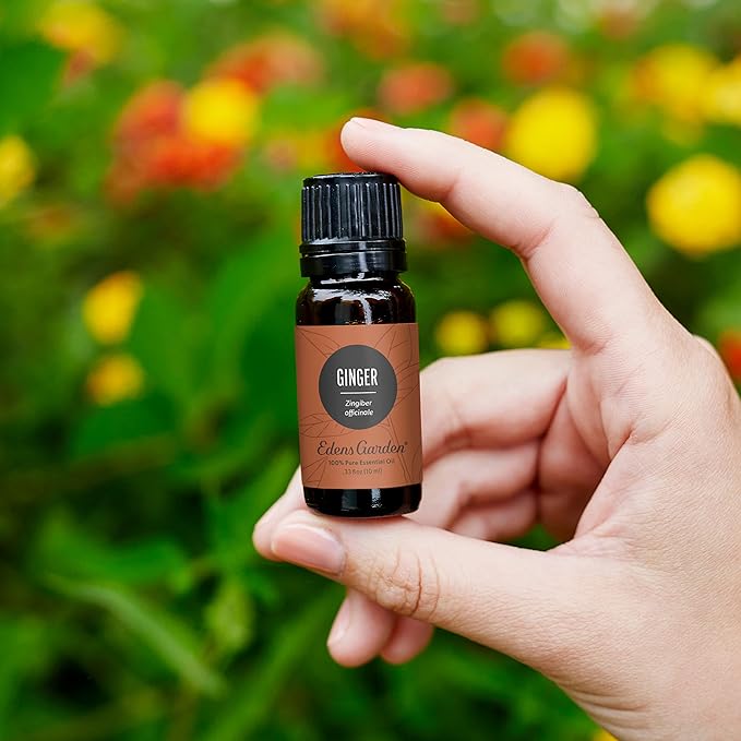 Edens Garden Ginger Essential Oil- 100% Pure Premium Grade, Undiluted, Natural, Therapeutic, Aromatherapy, The Best for Diffuser, Skin, Candle, Kid Safe 10 ml (.33 fl oz)-VivaGrace Women