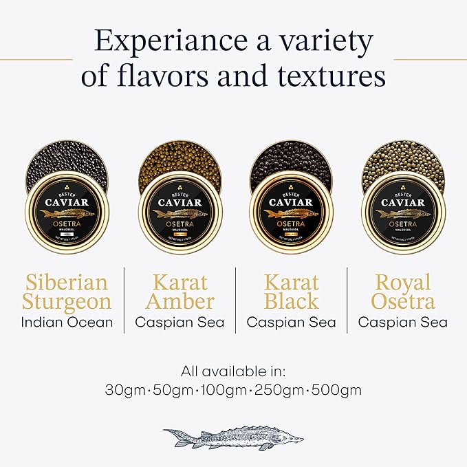 OVERNIGHT GUARANTEED, BESTER Premium Russian Osetra Sturgeon Caviar - 3 tins of 1 oz -30G (Trio Pack) - Malossol Ossetra Black Roe - Premium Quality, Traditional Style, imported-VivaGrace Women