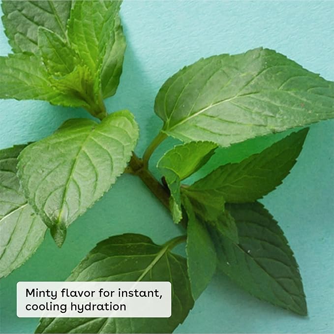 eos Medicated Lip Balm - The Fixer | Lip Care to Repair and Protect Chapped and Dry Lips | Instant Cooling and Pain Relief with Natural Ingredients | 0.35 oz-VivaGrace Women