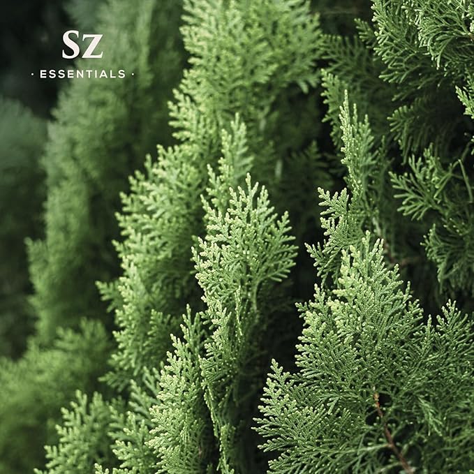 Cypress Essential Oil (Cupressus sempervirens) - 100% Pure & Undiluted - Fresh Crisp & Woody Aroma with Overtones of Earth and Evergreen - Therapeutic Grade and Vegan - 0.17 oz (5ml)-VivaGrace Women