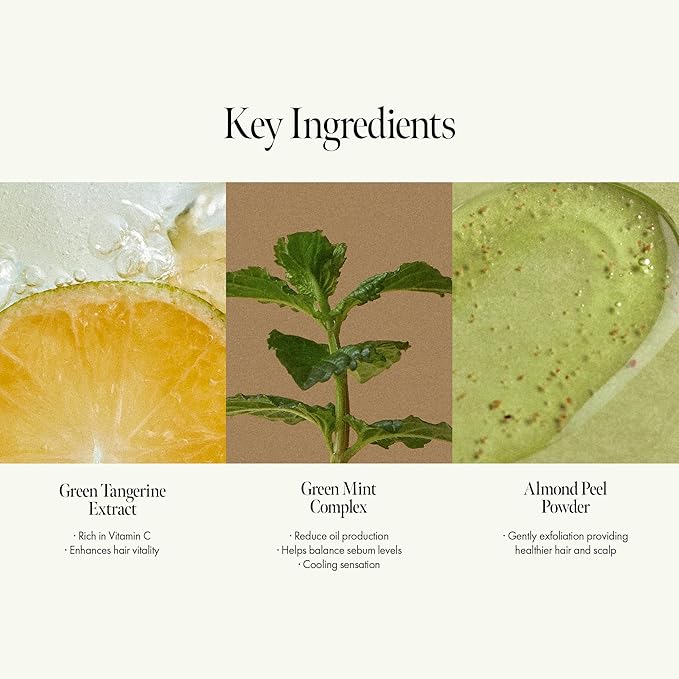 Lime Sunday Refresh Shampoo with Vitamin C, Korean Jeju Tangerine, Mint & Almond Powder for Oily Scalp Care – Exfoliating, Deep Cleansing, Lime Citrus Scent, Silicone & Paraben-Free (15.22 fl.oz)-VivaGrace Women