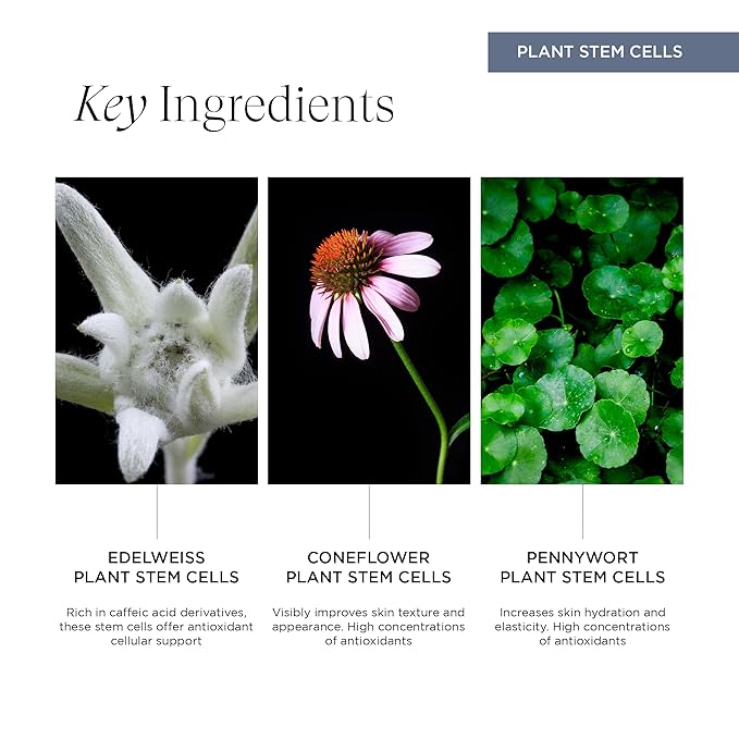 Re:generative Eye Gel, Firming Treatment for Dark Circles and Puffiness, With Plant Actives to Brighten, Refresh and Protect, 0.5 Oz-VivaGrace Women