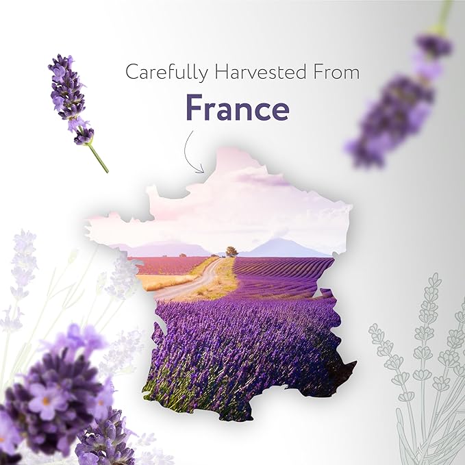 HBNO California Bottled Dutch Lavender Essential Oil 4 fl oz (120ml) - Natural Lavender Oil for Skin, Perfect for Cleaning, Aromatherapy, DIY & Diffuser-VivaGrace Women