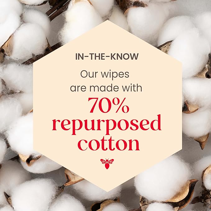 Burt's Bees Purifying Facial Towelettes With White Tea, Pre-Moistened Towelettes for All Skin Types, 99.1 Percent Natural Origin Skin Care, 10 ct. Package