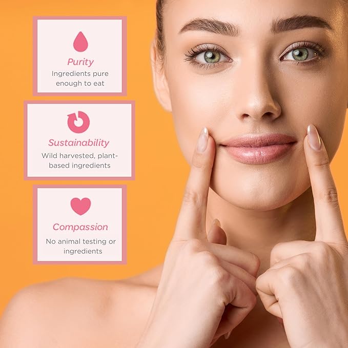 Natural Lip Butter Lip Balm - Ginger Lemon - Pure Enough to Eat - Made With Just 6 Vegan Ingredients - 100% Natural & Organic Moisturizing Lip Care for All Day Hydration (4-Pack)-VivaGrace Women