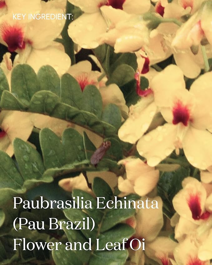 The Premise Postbiomic Body Oil, After Shower Toning & Transformative Body Care, Vegan & Organic Fermented Skin Oil, 100 mL Rejuvenating Oil for Skin & Body-VivaGrace Women