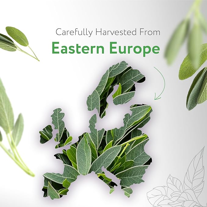 HBNO Organic Sage Essential Oil - 1 oz (30ml) - USDA Certified Organic Sage Essential Oil for Aromatherapy, Soap Making, DIY, Fragrances, Diffuser.-VivaGrace Women