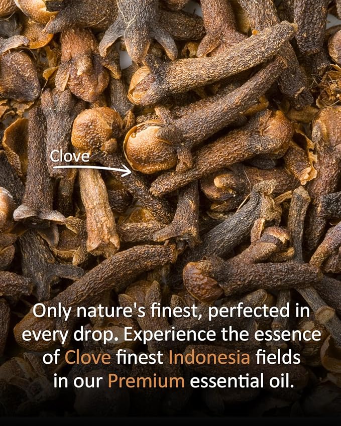 Pure Clove Essential Oil, 100% Pure Natural Clove Essential Oil, Premium Grade Essential Oils for Diffusers for Home, Skin, Care Massage, Soap Making, Aromatherapy, 4 Fl Oz | 120ml-VivaGrace Women