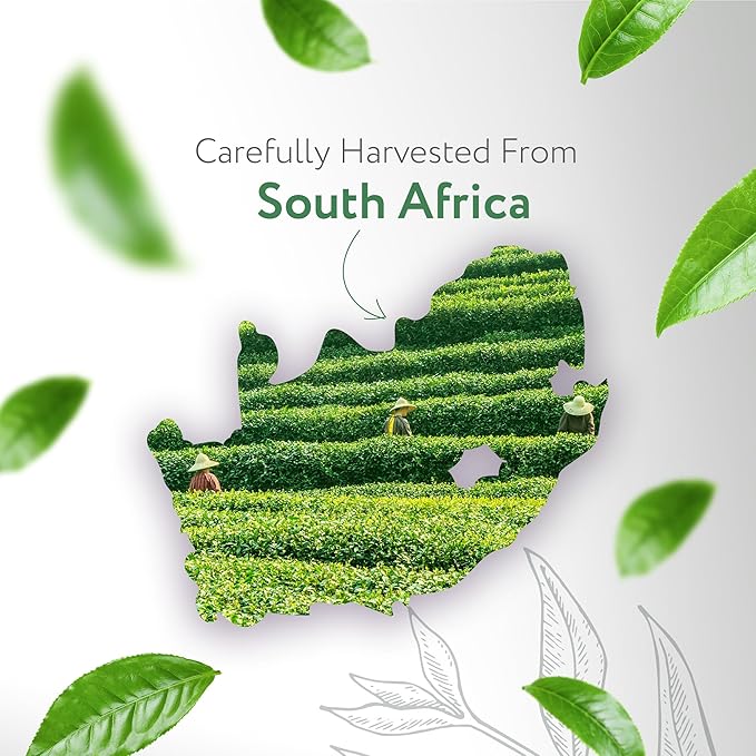 HBNO Tea Tree Oil - Huge 32 oz (950ml) Large Size - Ideal for Diffusers, Cleaning Agents, Deodorizers, and Flavoring Agents.-VivaGrace Women