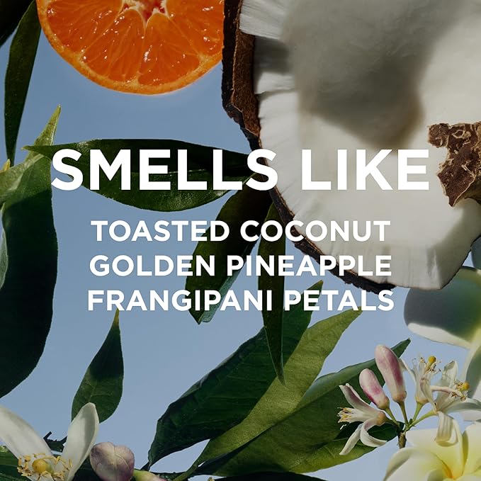 By Rosie Jane Everyday Body Milk (Missy) - Hydrating Toner & Body Moisturizer to Help Even Skin Tone - Infused with Soothing Aloe Vera and Turmeric Root to Promote Anti-Aging (5 Ounce)-VivaGrace Women