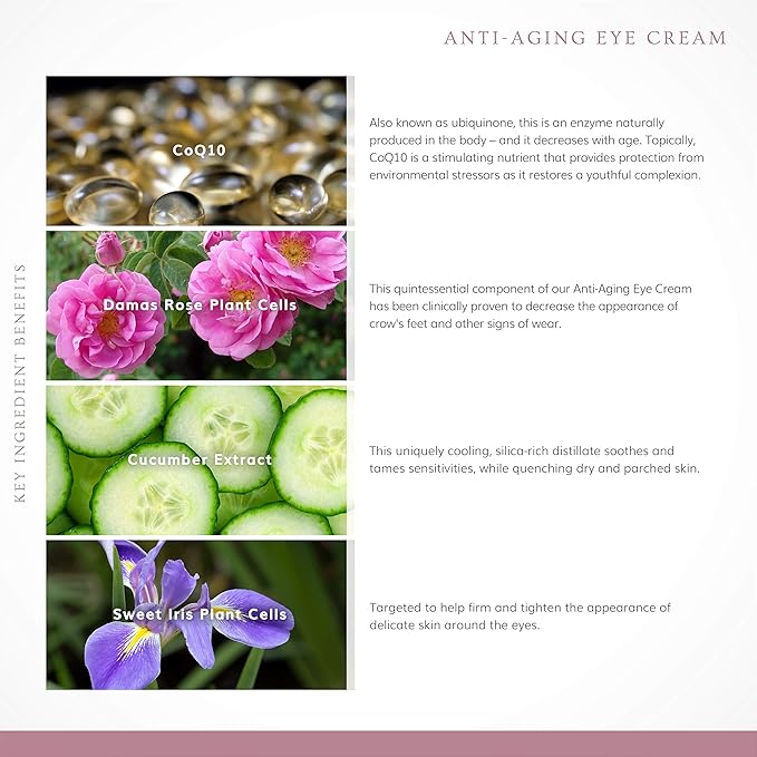 Annmarie Skin Care Anti-Aging Eye Cream - With Antioxidant-Rich Green Tea, Eyebright & Cucumber Extract, Soothing for Puffiness, Fine Lines and Wrinkles, All Skin Types (15ml, 0.5 fl oz)-VivaGrace Women