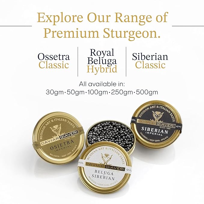 OVERNIGHT GUARANTEED, BESTER Premium Russian Osetra Sturgeon Caviar - 3 tins of 1 oz -30G (Trio Pack) - Malossol Ossetra Black Roe - Premium Quality, Traditional Style, imported-VivaGrace Women