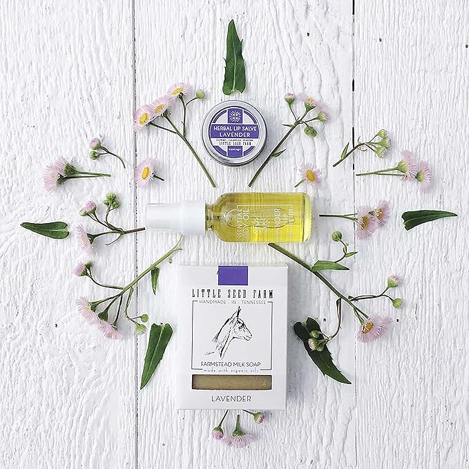 Little Seed Farm Essential Body Oil, Lavender, 4.0 Ounce-VivaGrace Women