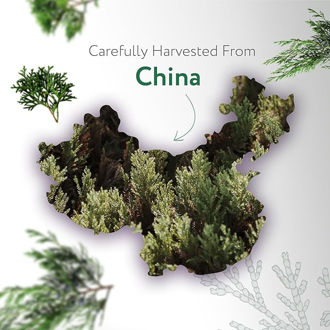 HBNO Cedarwood Essential Oil - Huge 4 oz (120ml) Value Size - Natural Cedarwood Oil - Perfect for Cleaning, Aromatherapy, DIY, Soap & Diffuser-VivaGrace Women