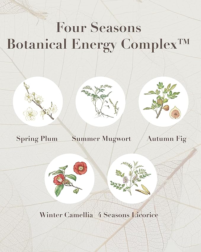 Sooryehan SAGA OF SOO BOTANICAL ENERGY AGE DELAY CREAM GIFT SET (150 ml / 5.07 Fl Oz) - Korean Skin Care by LG BEAUTY. Botanical Energy Cream, Boosting Toner, Balancing Moisturizer, Foam Cleanser.-VivaGrace Women