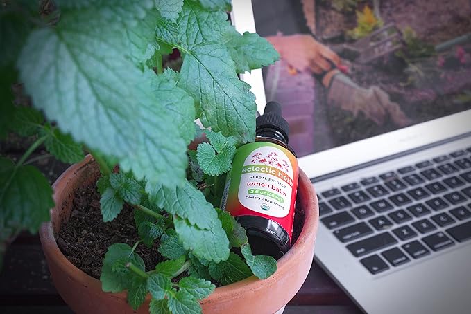 Eclectic Herb Organic Lemon Balm Extract - 2 oz - Non-GMO, Gluten-Free, Soy-Free, Dairy-Free - Pure Herbal Extract for Calming and Relaxation-VivaGrace Women