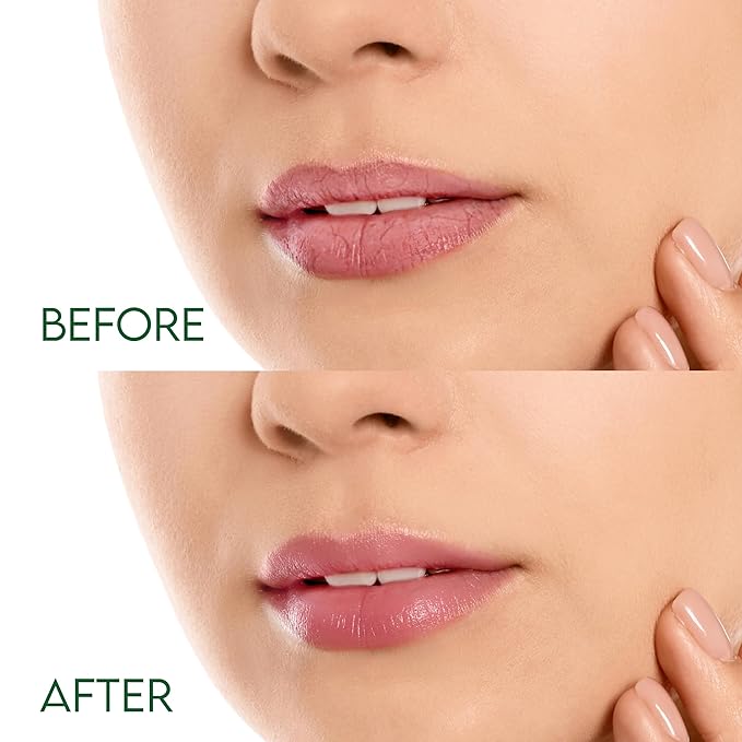 Organic Lip Balm, Spearmint Flavor, Ultra Hydrating Lip Moisturizer for Dry Lips, Oval Shaped Tube, USDA Certified Organic, 3 Pack - OrganiLip-VivaGrace Women