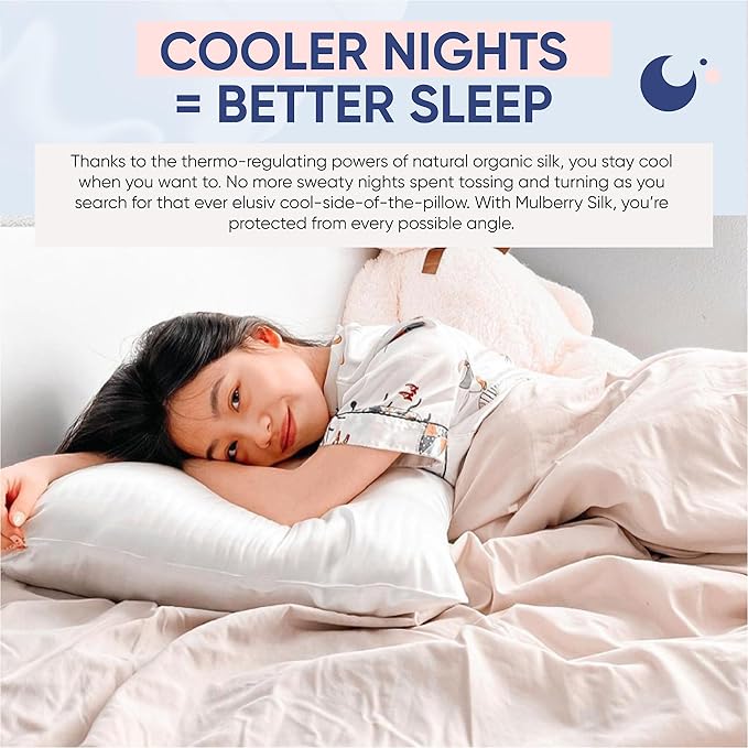 Blissy Silk Pillowcase - 100% Pure Mulberry Silk - 22 Momme 6A High-Grade Fibers - Silk Pillow Cover for Hair & Skin - Regular, Queen & King (Blissy White, Standard)-VivaGrace Women